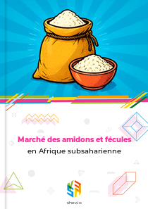 Marché des amidons et fécules en Afrique subsaharienne