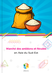 Marché des amidons et fécules en Asie du Sud-Est