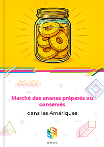 Marché des ananas préparés ou conservés dans les Amériques