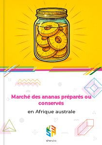Marché des ananas préparés ou conservés en Afrique australe