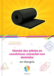 Marché des articles en caoutchouc vulcanisé non alvéolaire en Hongrie
