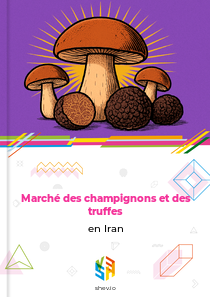 Marché des champignons et des truffes en Iran