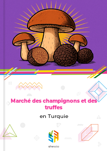 Marché des champignons et des truffes en Turquie