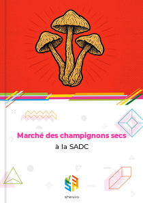 Marché des champignons secs à la SADC