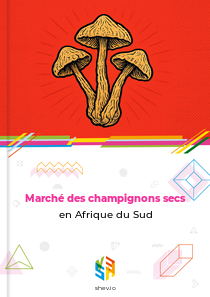 Marché des champignons secs en Afrique du Sud