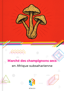 Marché des champignons secs en Afrique subsaharienne
