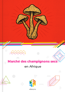 Marché des champignons secs en Afrique