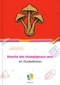 Marché des champignons secs en Ouzbékistan