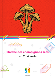 Marché des champignons secs en Thaïlande