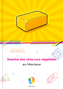 Marché des cires non végétales au Mexique