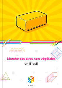 Marché des cires non végétales en Brésil