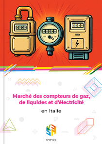 Marché des compteurs de gaz, de liquides et d'électricité en Italie