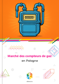 Marché des compteurs de gaz en Pologne