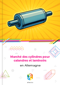 Marché des cylindres pour calandres et laminoirs en Allemagne
