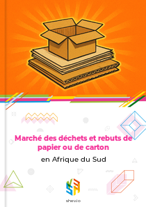 Marché des déchets et rebuts de papier ou de carton en Afrique du Sud