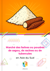 Marché des farines ou poudres de sagou, de racines ou de tubercules en Asie du Sud