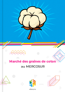 Marché des graines de coton au MERCOSUR