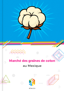 Marché des graines de coton au Mexique