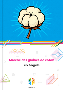 Marché des graines de coton en Angola