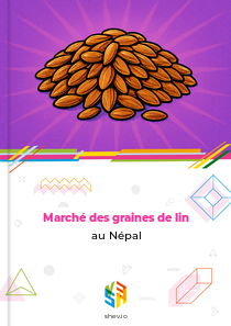 Marché des graines de lin au Népal