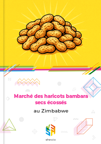 Marché des haricots bambara secs écossés au Zimbabwe