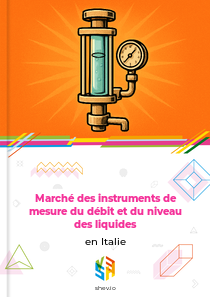 Marché des instruments de mesure du débit et du niveau des liquides en Italie