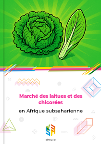 Marché des laitues et des chicorées en Afrique subsaharienne