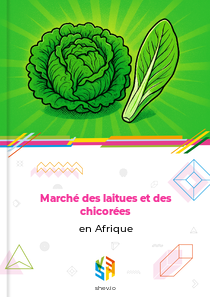 Marché des laitues et des chicorées en Afrique