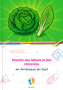 Marché des laitues et des chicorées en Amérique du Sud