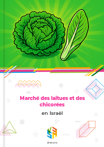 Marché des laitues et des chicorées en Israël