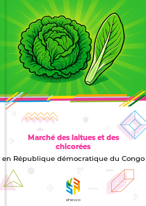 Marché des laitues et des chicorées en République démocratique du Congo
