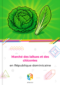 Marché des laitues et des chicorées en République dominicaine