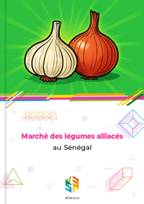 Marché des légumes alliacés au Sénégal