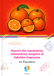 Marché des mandarines, clémentines, tangelos et hybrides d'agrumes en Équateur