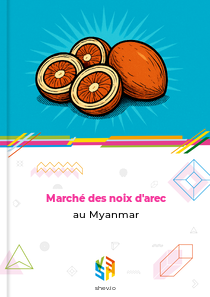 Marché des noix d'arec au Myanmar