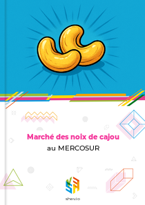 Marché des noix de cajou au MERCOSUR