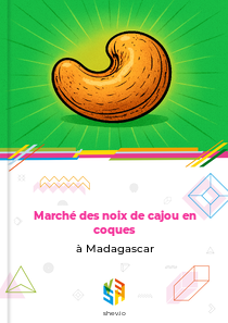 Marché des noix de cajou en coques à Madagascar