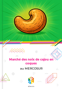 Marché des noix de cajou en coques au MERCOSUR