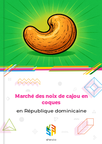 Marché des noix de cajou en coques en République dominicaine