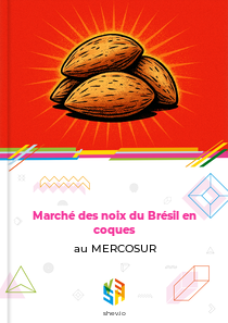 Marché des noix du Brésil en coques au MERCOSUR
