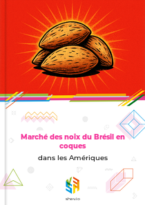 Marché des noix du Brésil en coques dans les Amériques