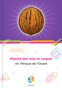 Marché des noix en coques en Afrique de l'Ouest