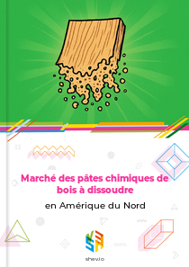 Marché des pâtes chimiques de bois à dissoudre en Amérique du Nord
