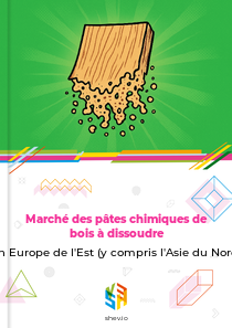Marché des pâtes chimiques de bois à dissoudre en Europe de l'Est (y compris l'Asie du Nord)