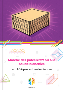 Marché des pâtes kraft ou à la soude blanchies en Afrique subsaharienne