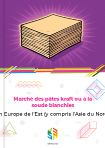 Marché des pâtes kraft ou à la soude blanchies en Europe de l'Est (y compris l'Asie du Nord)