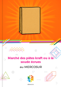 Marché des pâtes kraft ou à la soude écrues au MERCOSUR
