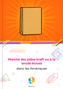 Marché des pâtes kraft ou à la soude écrues dans les Amériques