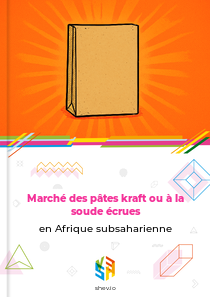 Marché des pâtes kraft ou à la soude écrues en Afrique subsaharienne