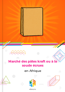 Marché des pâtes kraft ou à la soude écrues en Afrique